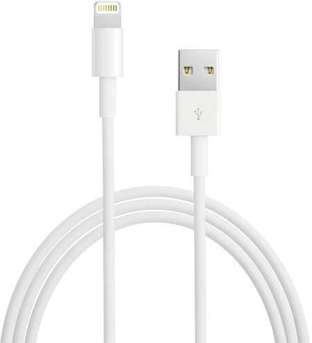 Apple iPhone Lightning to USB Cable